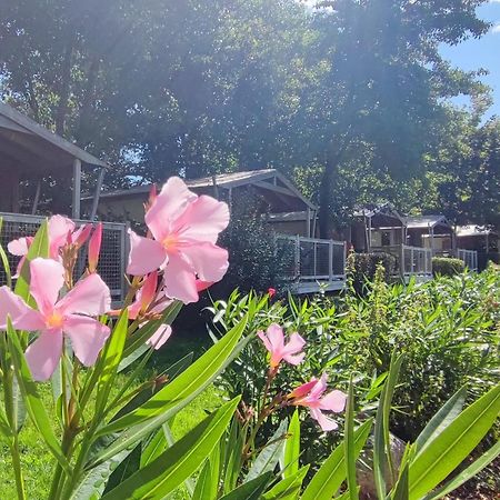 Camping Capfun La Breteche Les Épesses Kültér fotó